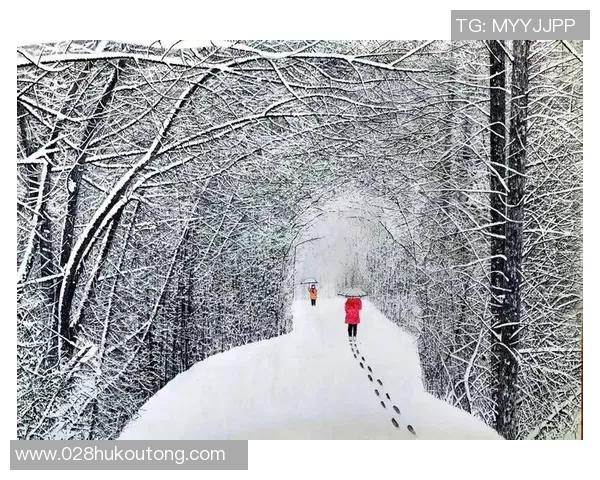 老男孩与独立视频回放的碰撞与思考：一场关于青春与梦想的对话