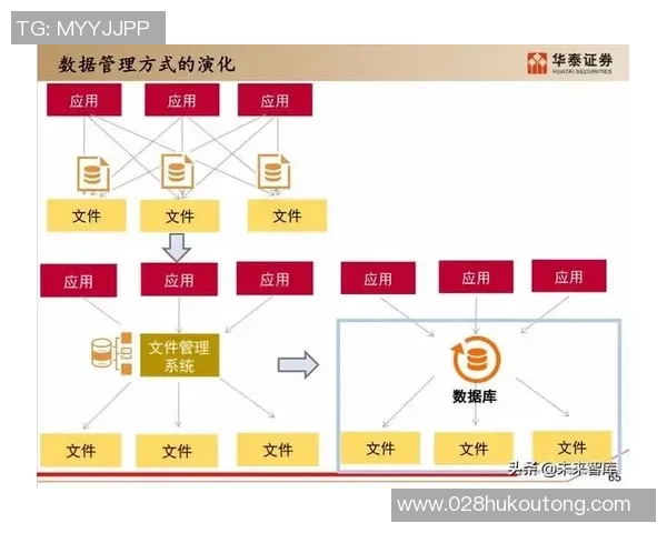 武汉篮球队运营全景解析：深度探讨球队管理与发展策略